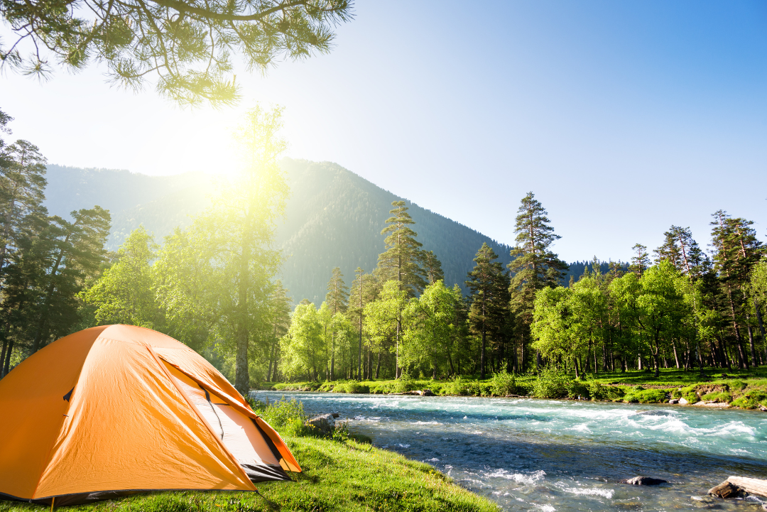5 Reasons Why a Beekman Canopy is a Must-Have for Your Bakkie Camping Trip