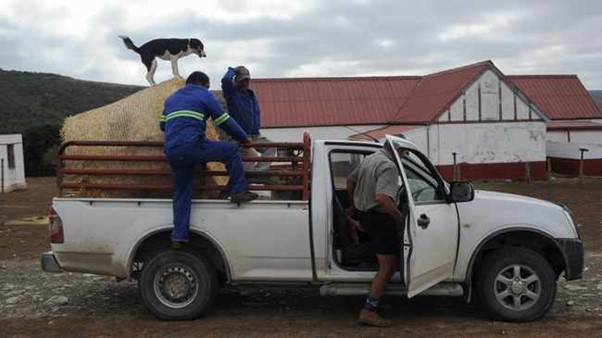 Tips on how to transform your bakkie